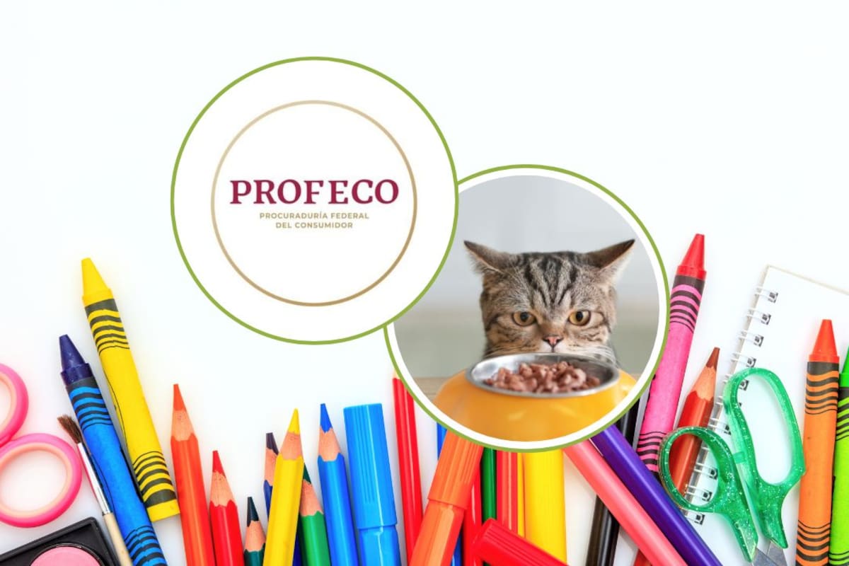 Profeco pone la lupa en regreso a clases, comida para gato y vehículos con llamado a revisión