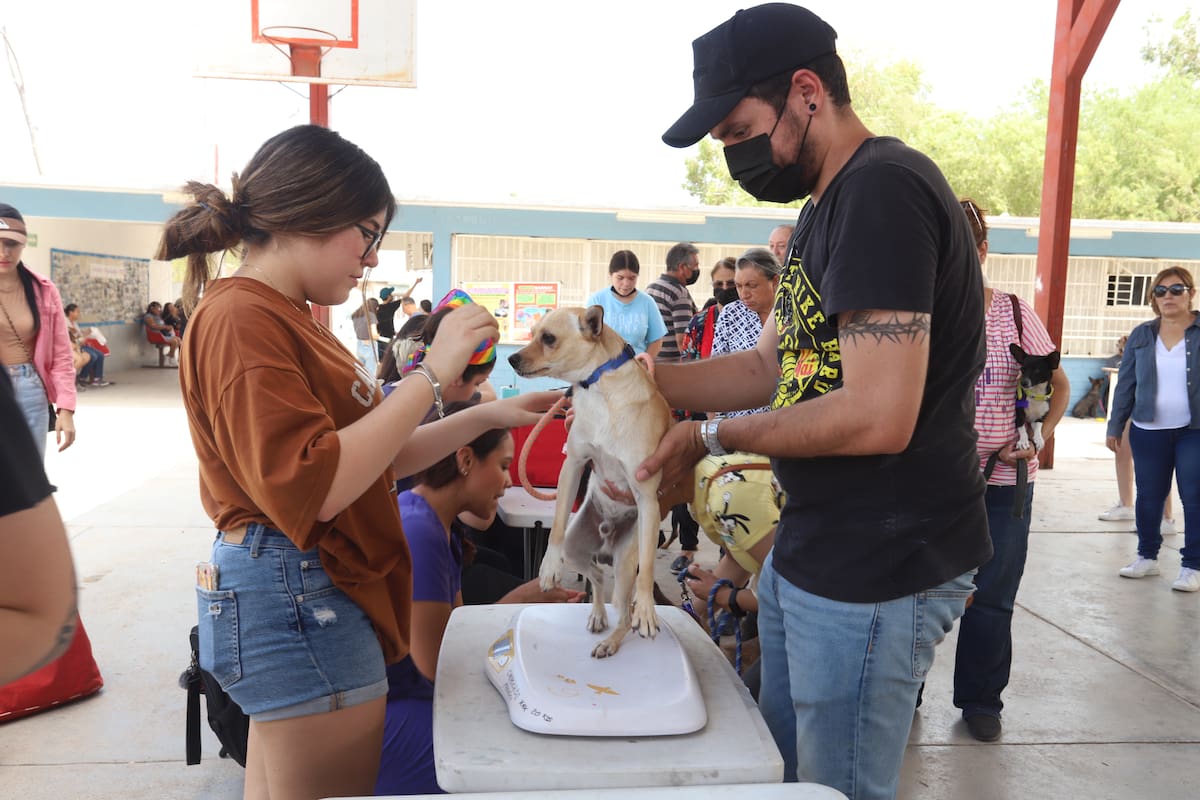 Pata de Perro agradece a Carín León por su donación: “Nos encantaría invitarlo a una actividad”, dice la fundadora.