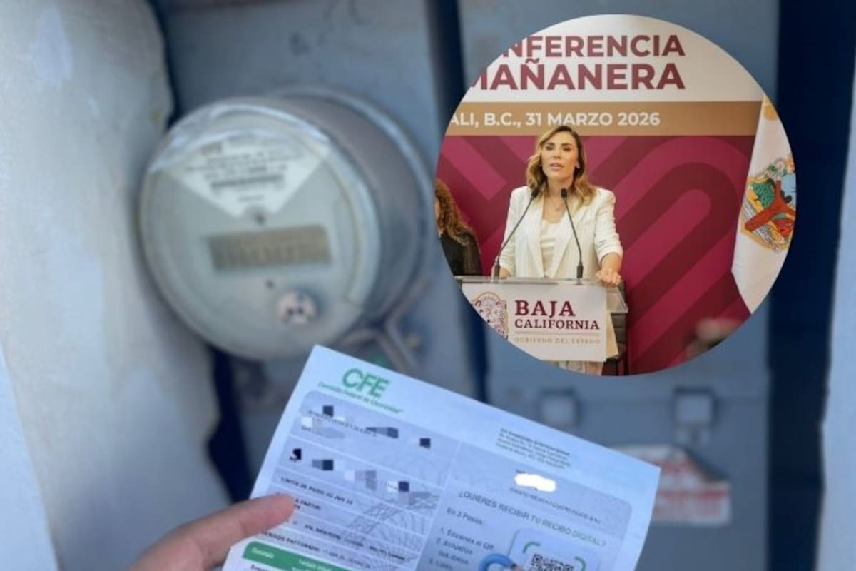 Subsidio eléctrico iniciará el 1 de mayo en Mexicali: Marina del Pilar