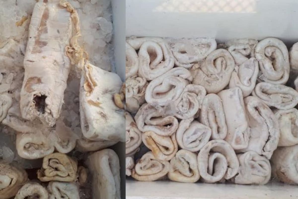 Aseguran cargamento millonario de buches de totoaba