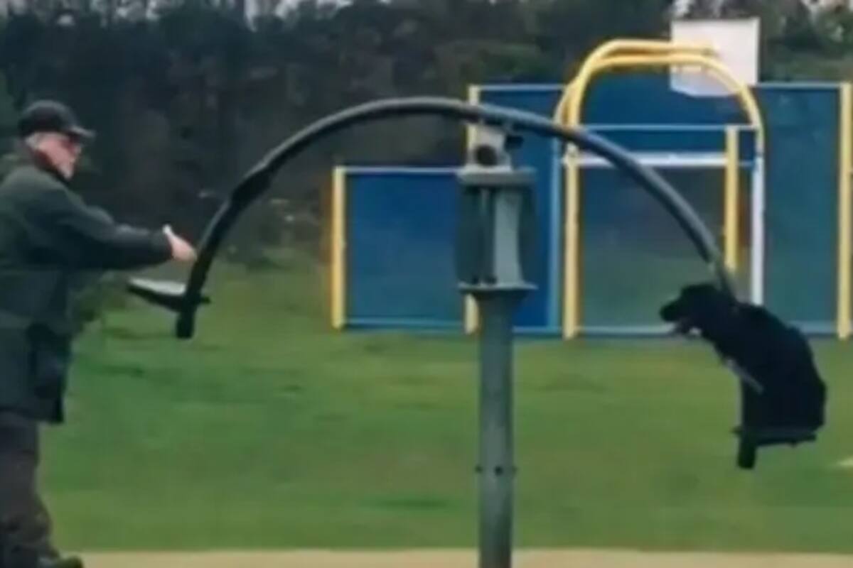 Perrito se divierte mientras gira en un juego para niños