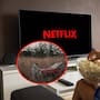 ¿Cuáles son las películas más vistas de Netflix esta semana?