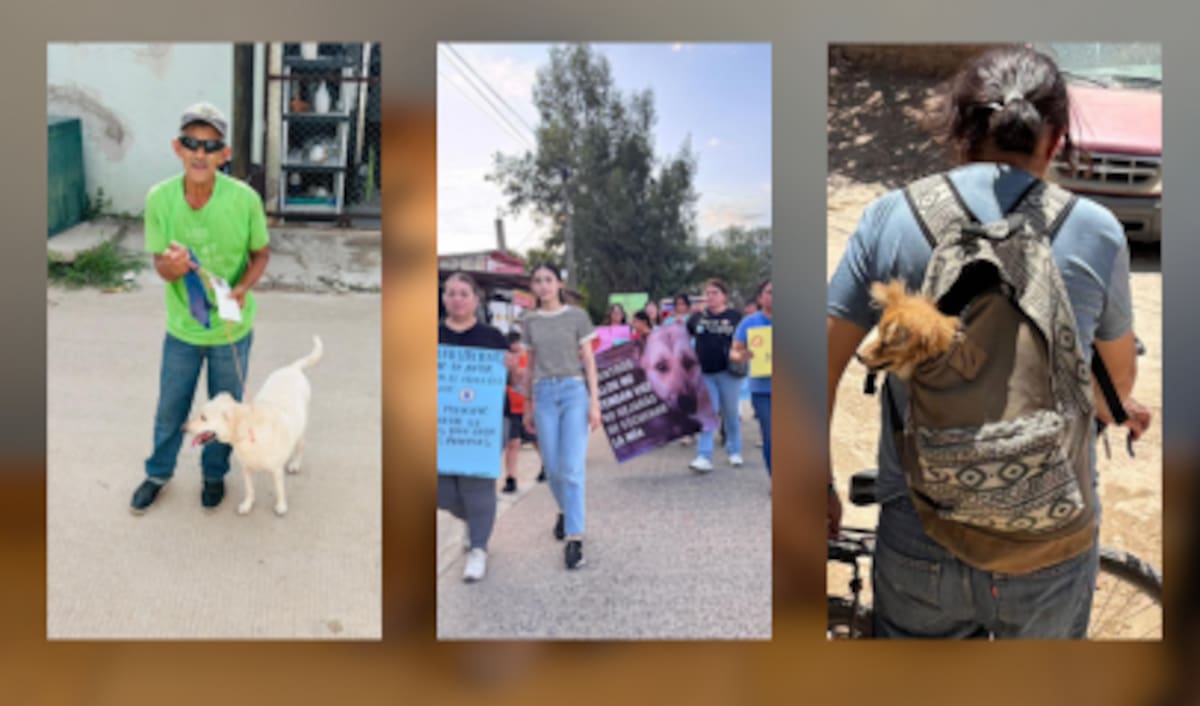 Habitantes de Álamos marcharon contra el maltrato animal junto a la fundación Álamos Dog Foundation, que promueve el respeto y cuidado de los animales