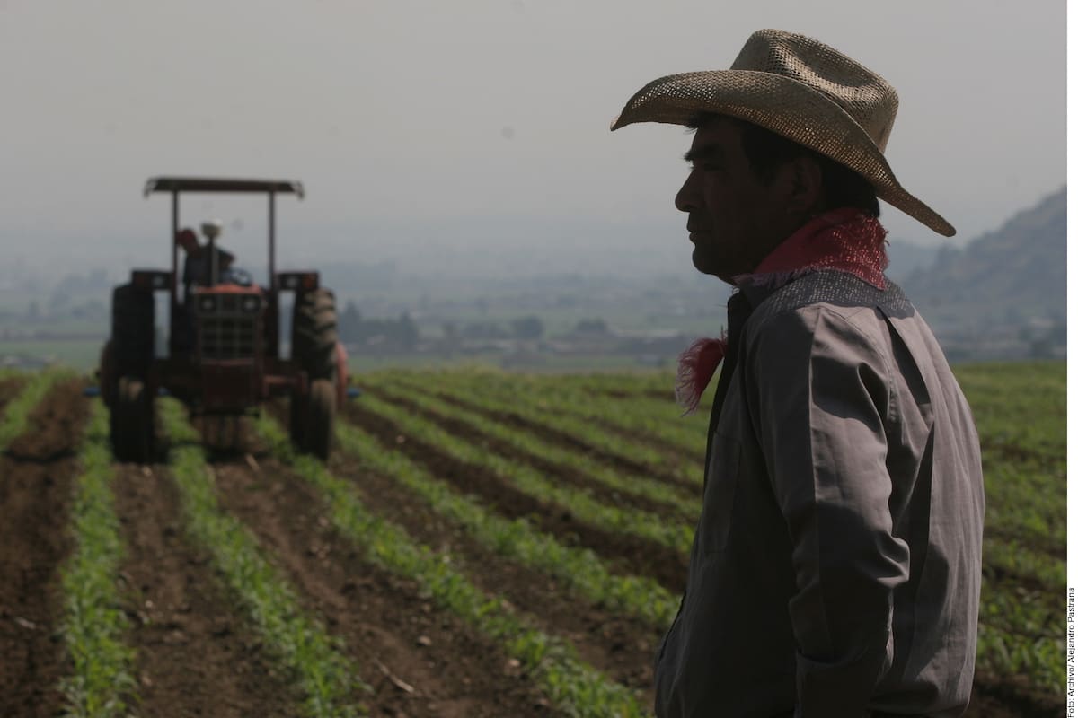 Sector primario en Sonora: Una industria en auge