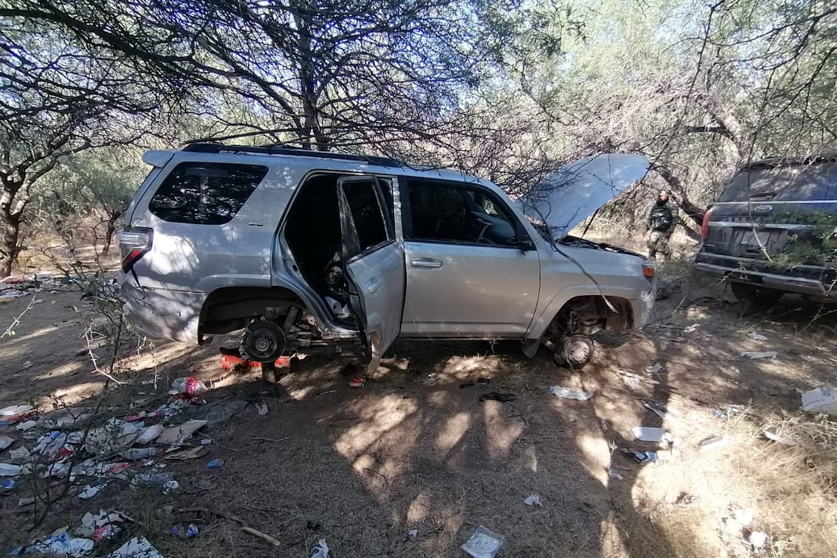 Aseguran 12 vehículos abandonados en El Sáric