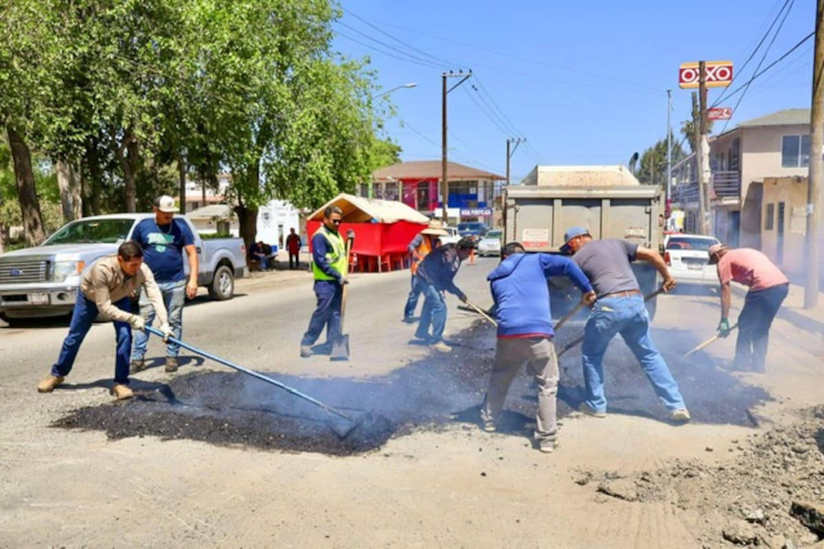 Bachean en Tecate más de 5 mil metros cuadrados