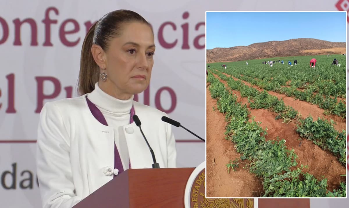 La presidenta anunció un plan social para mejorar salarios, condiciones laborales y derechos de jornaleros agrícolas en San Quintín. Foto: Cortesía