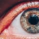 Descubren cómo revertir la pérdida de visión por envejecimiento: el papel clave de una enzima ocular