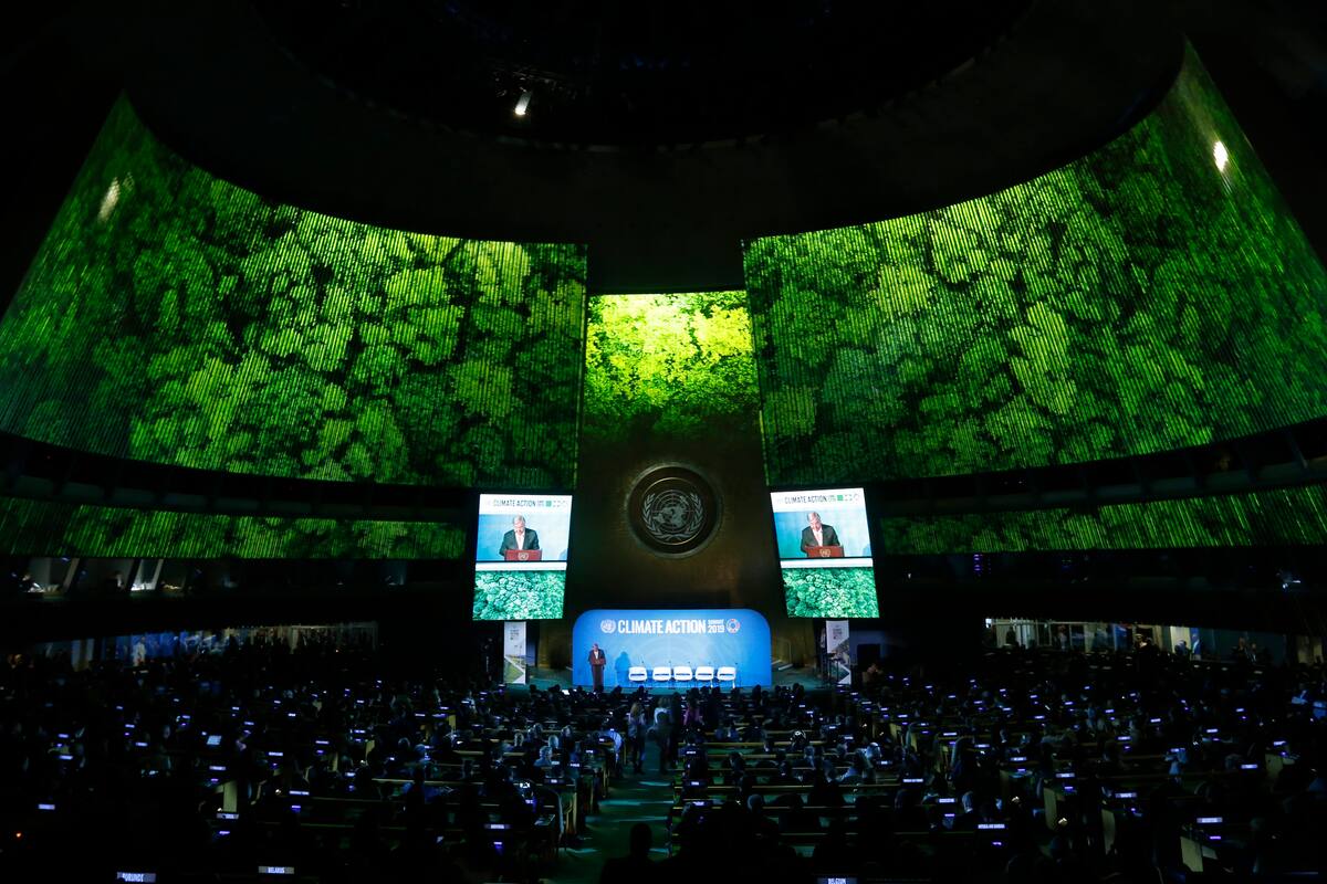ONU tendrá su Asamblea General de forma virtual