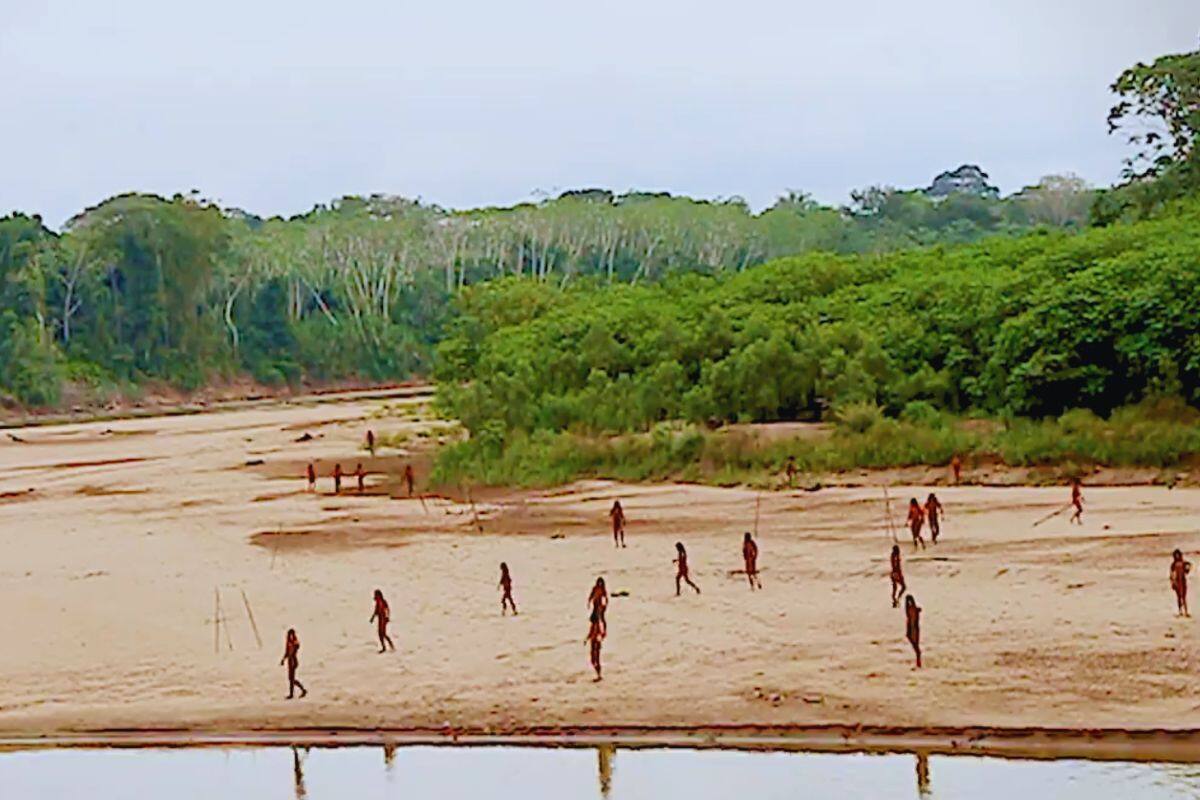VIDEO: Tribu aislada del Amazonas expuesta debido a tala de árboles en la región