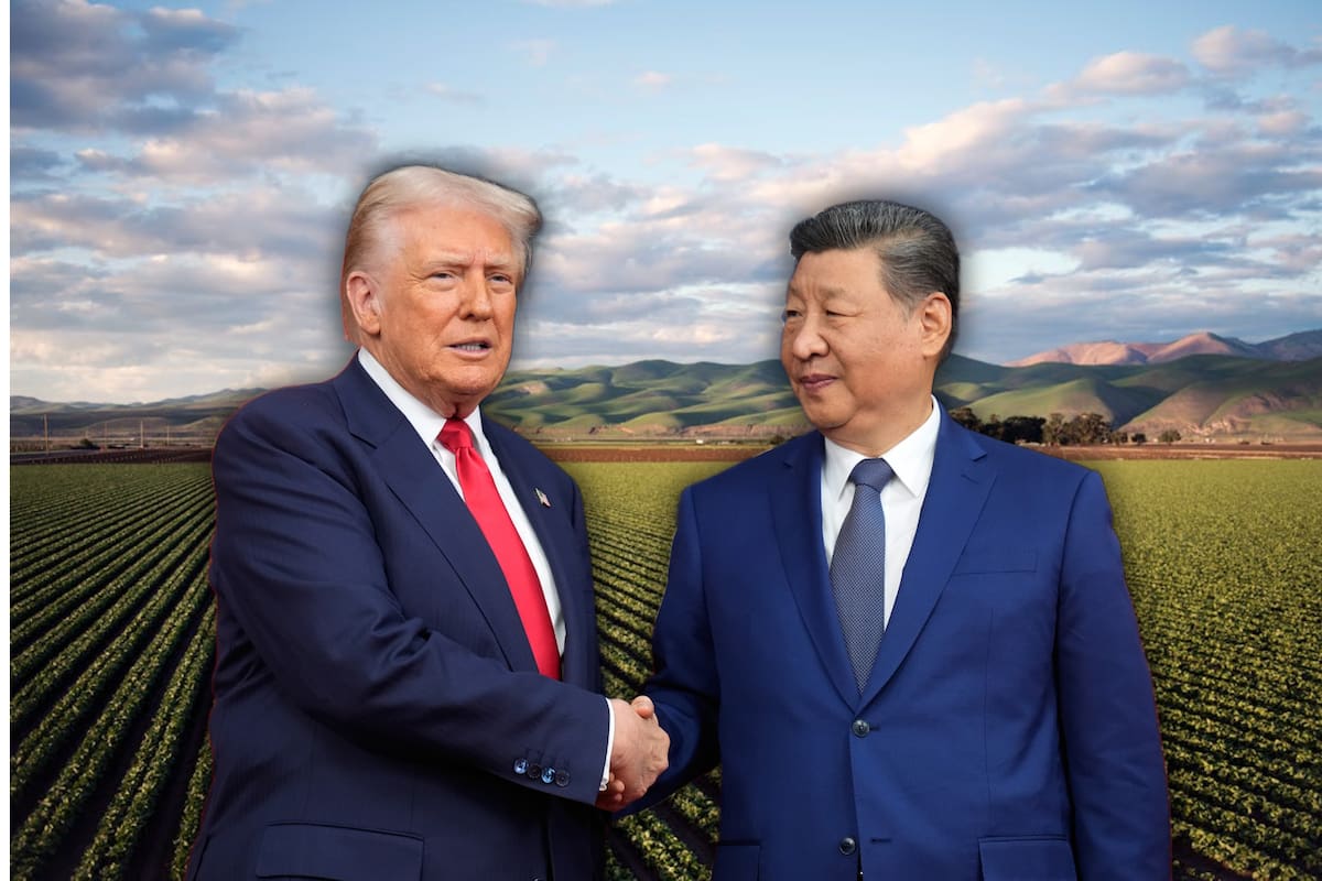 Tras años de guerra comercial y caída de exportaciones agrícolas, China y Estados Unidos pactan un nuevo esquema de intercambio en el que Pekín comprará miles de millones de dólares en soya, granos y carnes estadounidenses hasta 2028