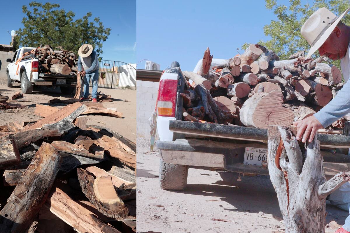 Baja un 30% venta de leña