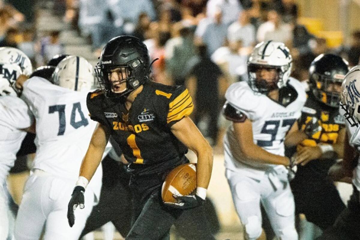 Zorros va por “doblete” al disputar el Campeón de Campeones