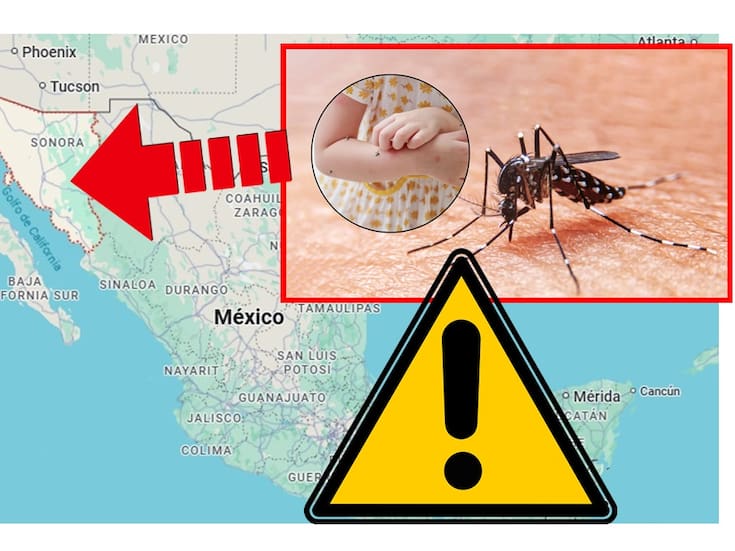 Se dispara el dengue en Sonora con 987 casos, el triple que en 2024