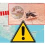 Dengue en Sonora: Hermosillo, Guaymas y Cajeme concentran casi 6 de cada 10 casos