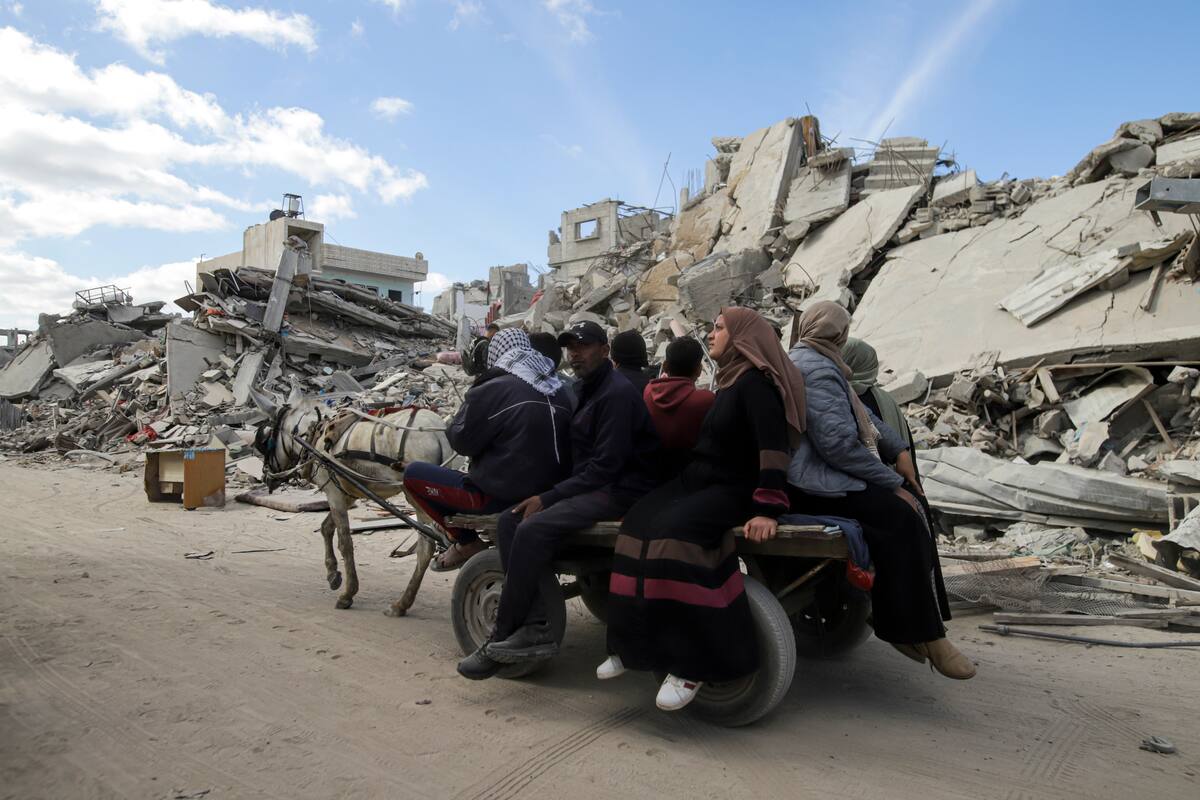 Palestinos desplazados regresan a Rafah, en el sur de la Franja de Gaza, el 20 de enero de 2025, un día después de la entrada en vigor del acuerdo de alto el fuego entre Israel y Hamás. (AP Foto/Jehad Alshrafi)