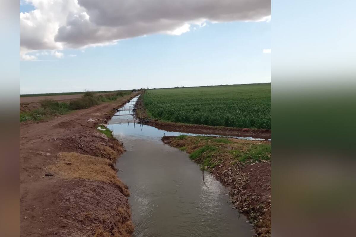 Ven difícil panorama para próximo ciclo en el Valle del Mayo