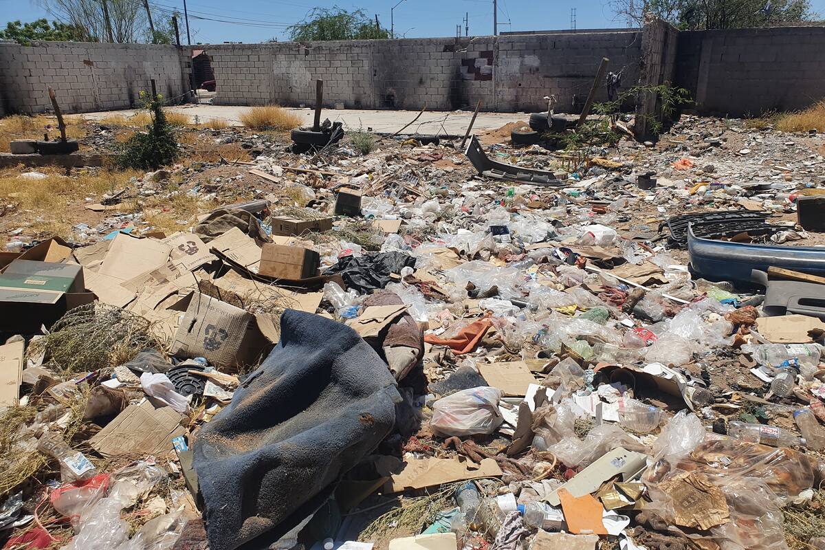 Vecinos piden limpieza de terreno