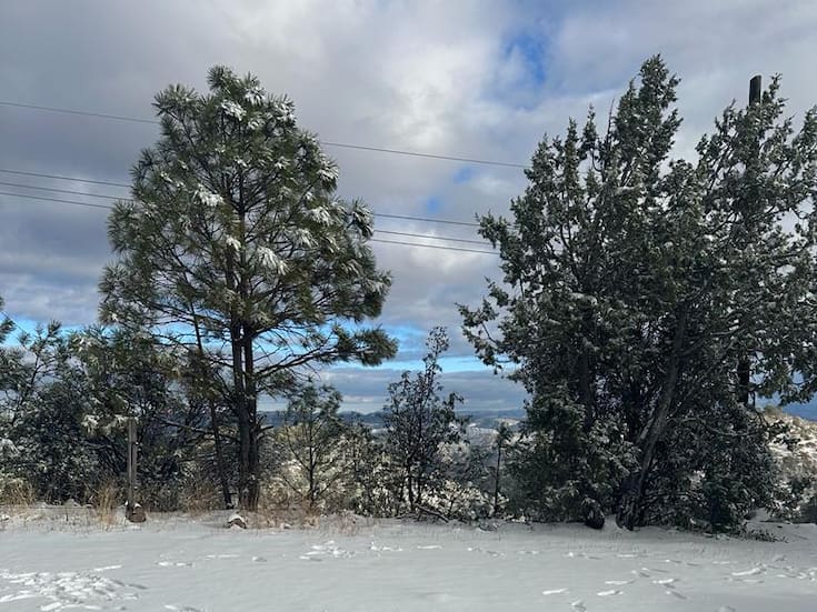 Nevadas en Yécora y Cananea impulsan el turismo en Sonora y reactivan la economía local