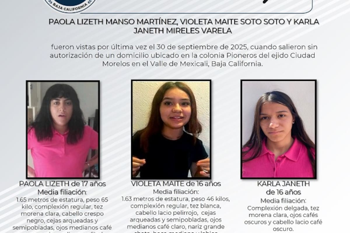 Pesquisa de Paola Lizeth Manso Martínez, Violeta Maite Soto Soto y Karla Janeth Mireles Varela