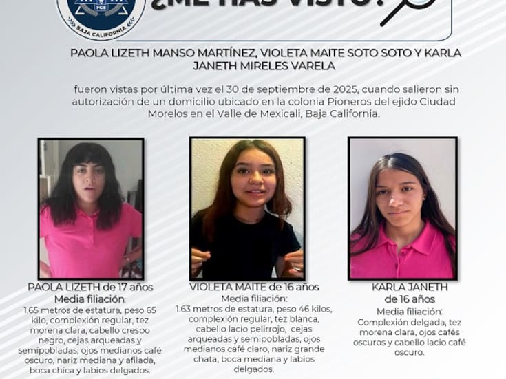 Pesquisa de Paola Lizeth Manso Martínez, Violeta Maite Soto Soto y Karla Janeth Mireles Varela