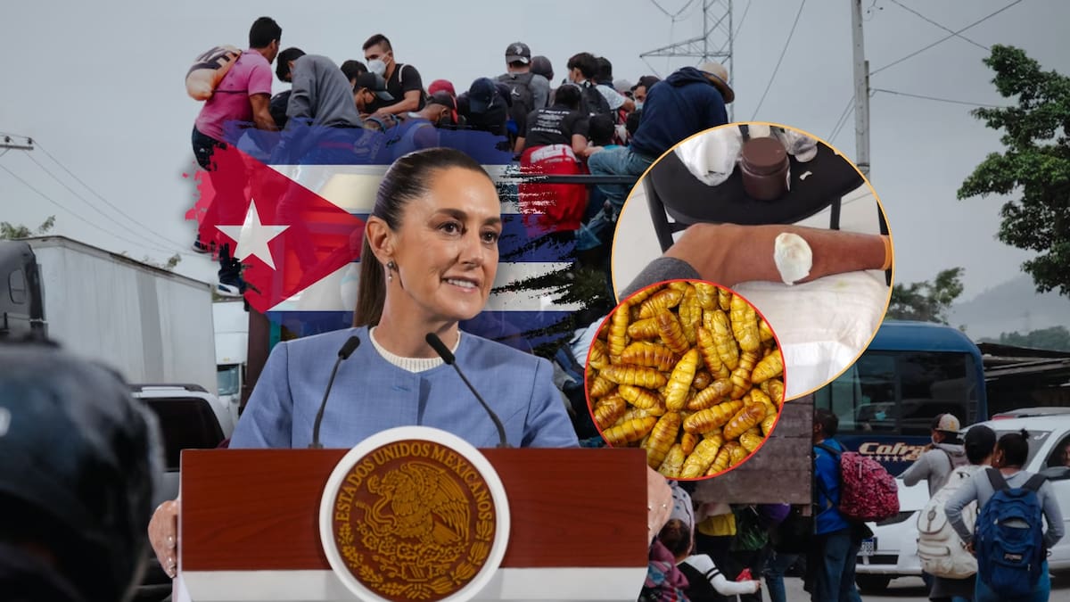 Adrián, un migrante cubano de 27 años que busca una mejor vida en México, se infectó de Gusano Barrenador y, tras no poder seguir caminando con la caravana por su herida, pidió ayuda a Claudia Sheinbaum para llegar a la CDMX