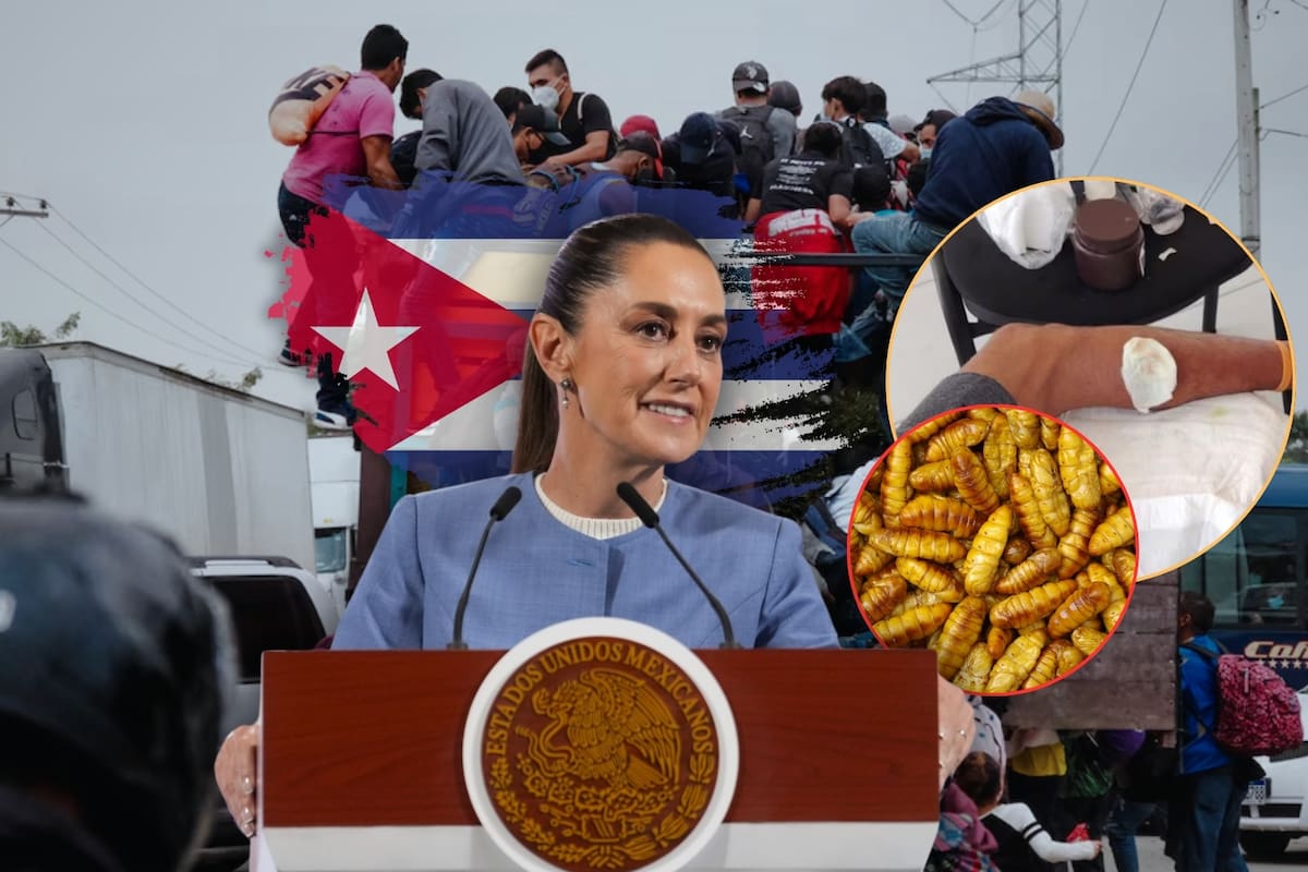 Adrián, un migrante cubano de 27 años que busca una mejor vida en México, se infectó de Gusano Barrenador y, tras no poder seguir caminando con la caravana por su herida, pidió ayuda a Claudia Sheinbaum para llegar a la CDMX