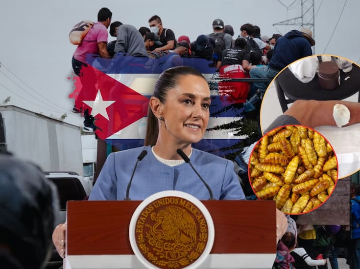 Adrián, un migrante cubano de 27 años que busca una mejor vida en México, se infectó de Gusano Barrenador y, tras no poder seguir caminando con la caravana por su herida, pidió ayuda a Claudia Sheinbaum para llegar a la CDMX