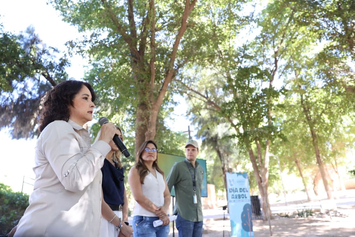 Las actividades por el Día del Árbol se realizarán del 6 al 26 de marzo e incluirán talleres, mega reforestaciones y entrega de especies como mezquite, palo verde y guayacán. | Foto: Julián Ortega