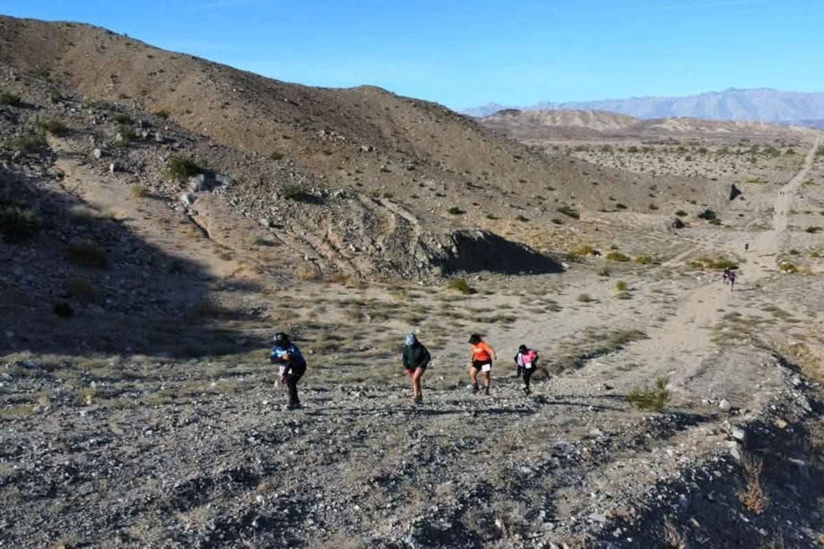 Invitan al Vancoptero