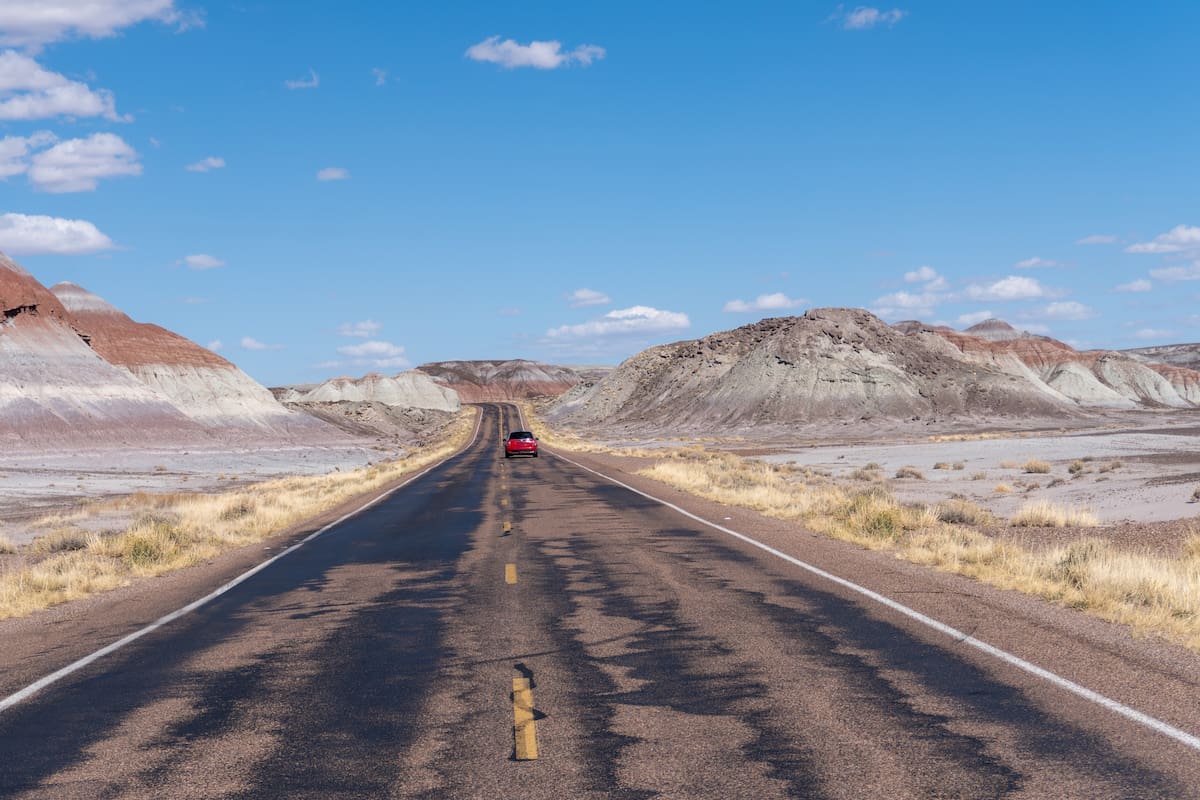 Qué ver en el Bosque Petrificado de Arizona: paisajes de colores y madera fósil milenaria