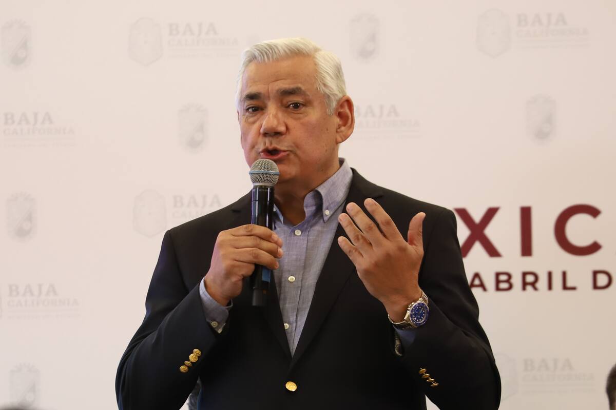 Cancela Semarnat proyecto de planta fotovoltaica