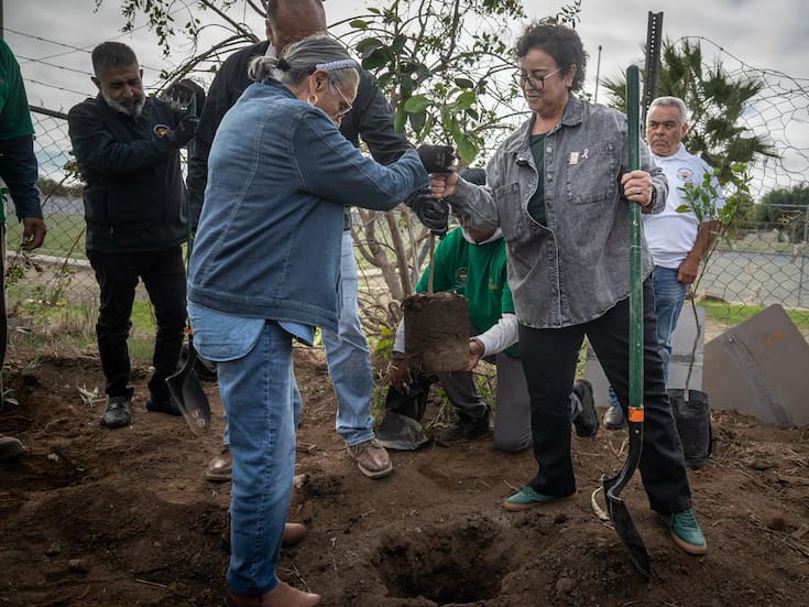 Inauguran primer vivero municipal en Rosarito en parque Conchita Cantú