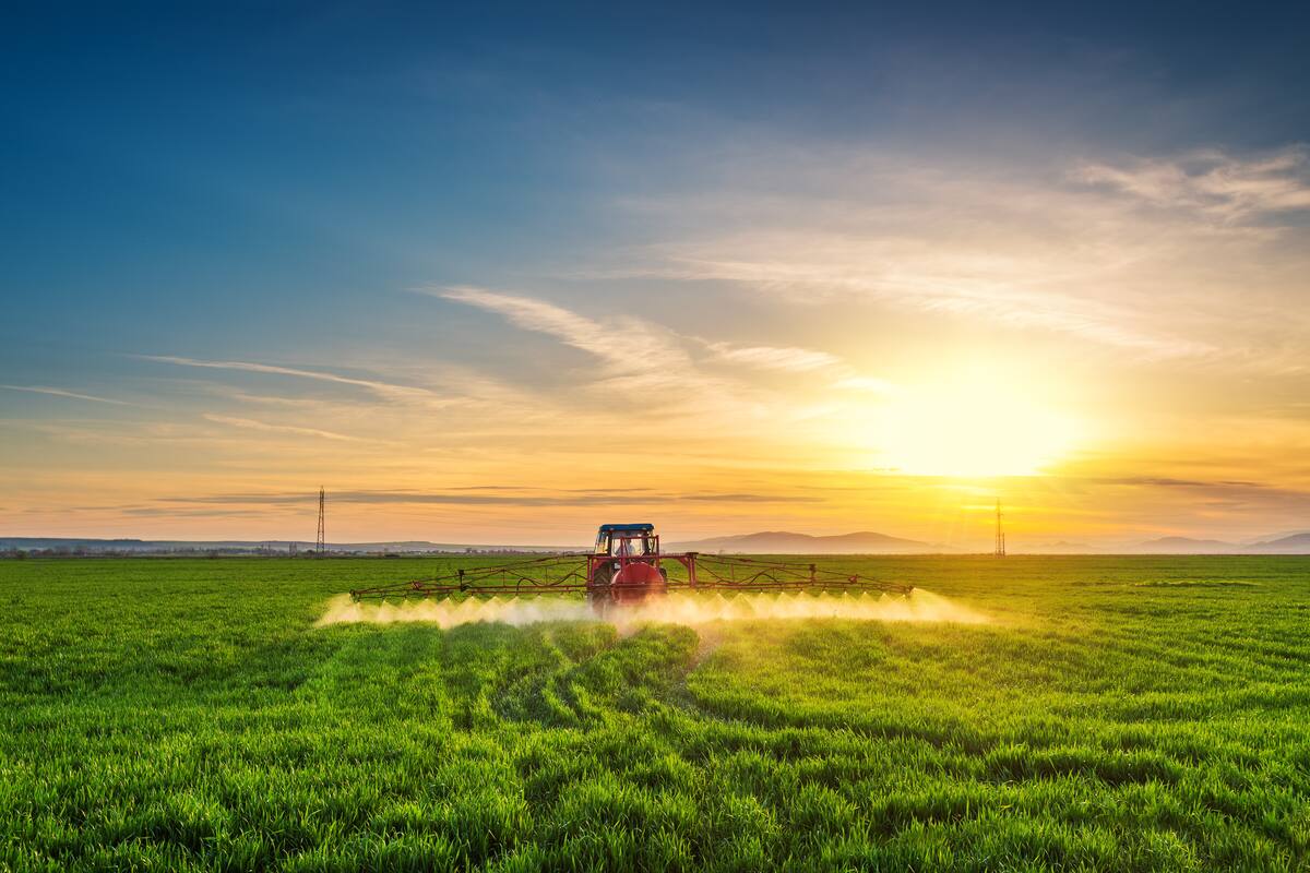 Ilustrativa de archivo.