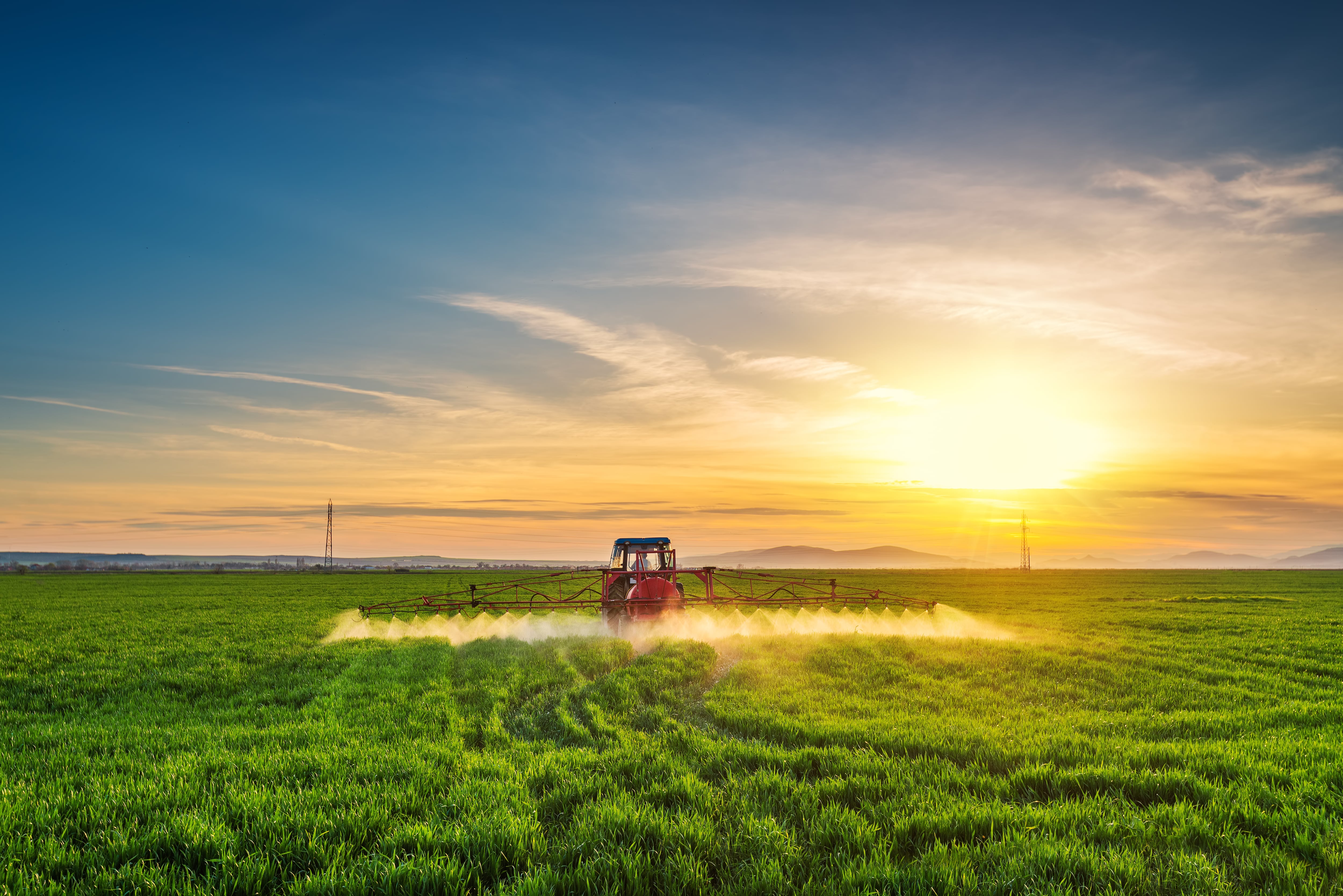 Ilustrativa de archivo.