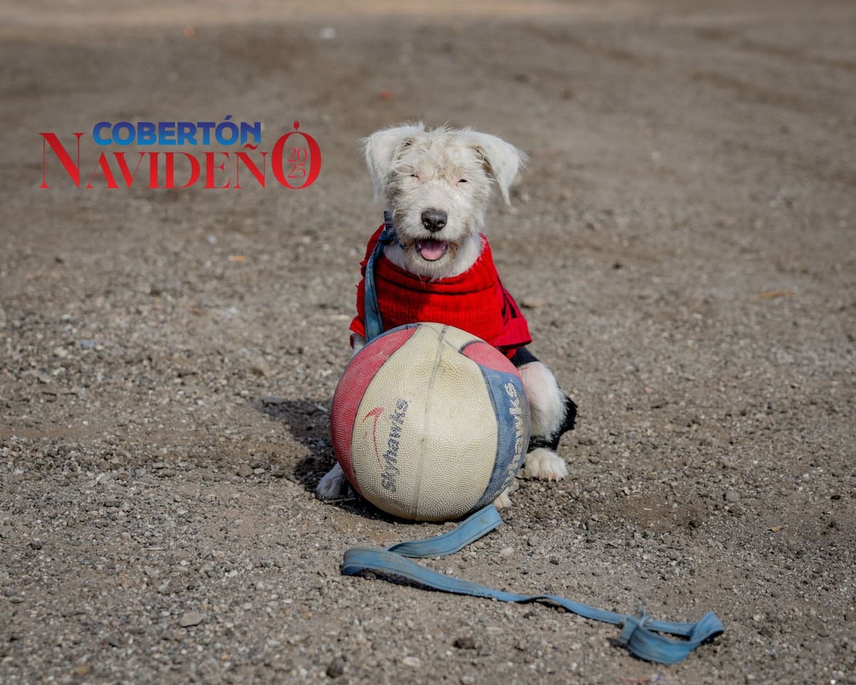 Foto: Javier Gallegos