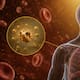¿Sabías que el cuerpo humano contiene oro, aproximadamente 0,2 miligramos?