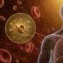 ¿Sabías que el cuerpo humano contiene oro, aproximadamente 0,2 miligramos?