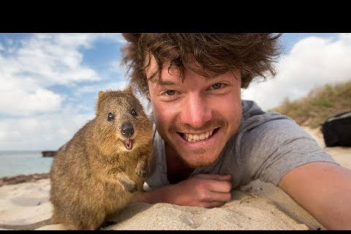 Cómo tomarte selfies con animales de forma responsable