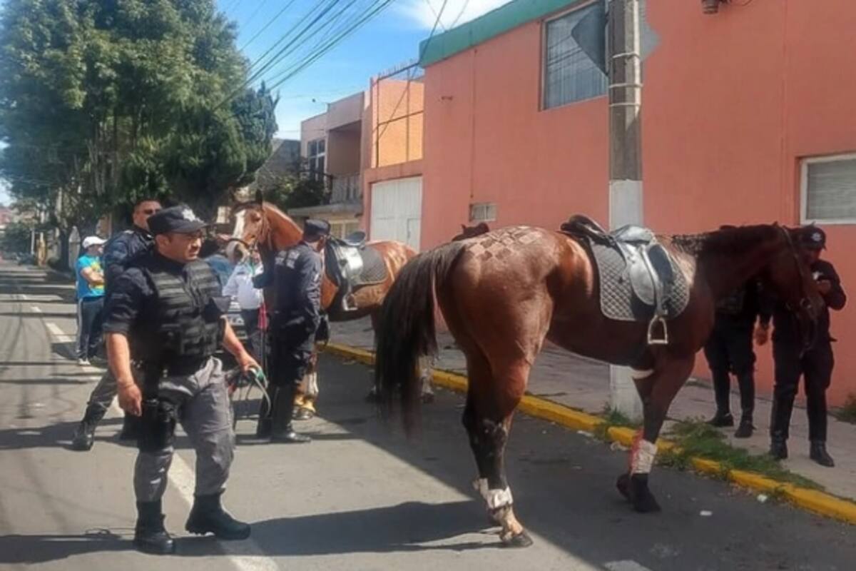 Desbocan caballos en Toluca por pirotecnia y hieren a dos mujeres
