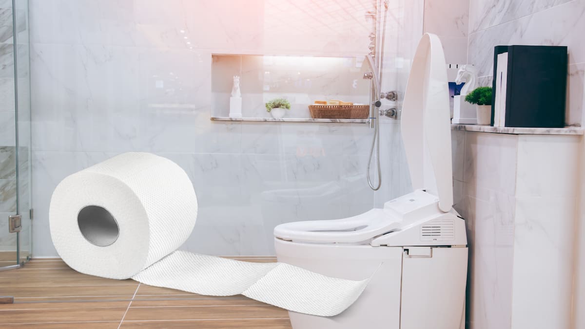 Los inodoros inteligentes: la tecnología que podría cambiar la higiene en el hogar. Foto: Canvas