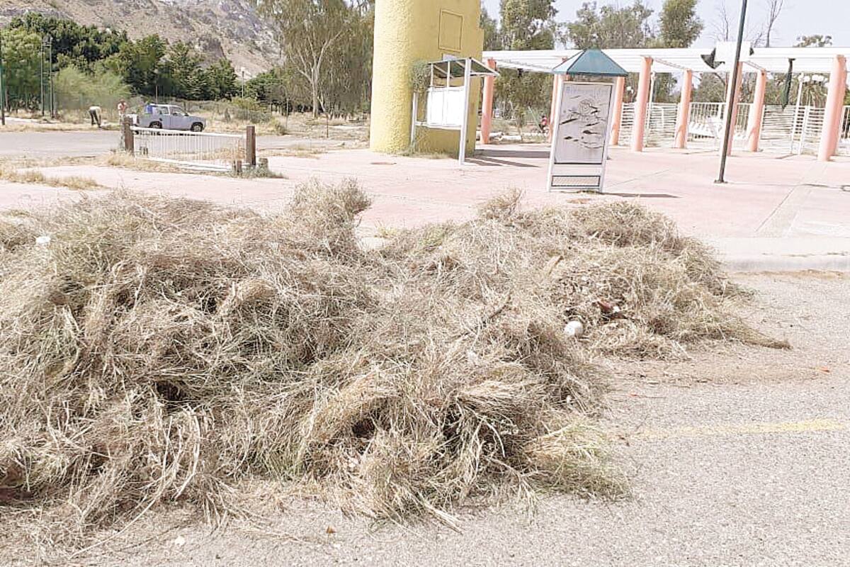Invitan a día de campo y limpieza en La Sauceda