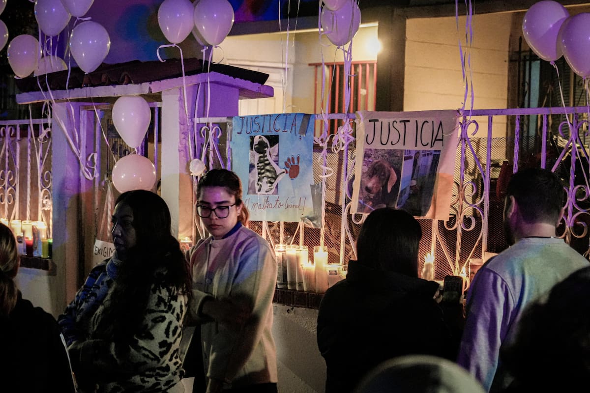 Activistas y vecinos participaron en una vigilia frente al domicilio donde ocurrió el caso de crueldad animal contra “Chatita”, para exigir que no quede impune. Fotos: Leonardo González