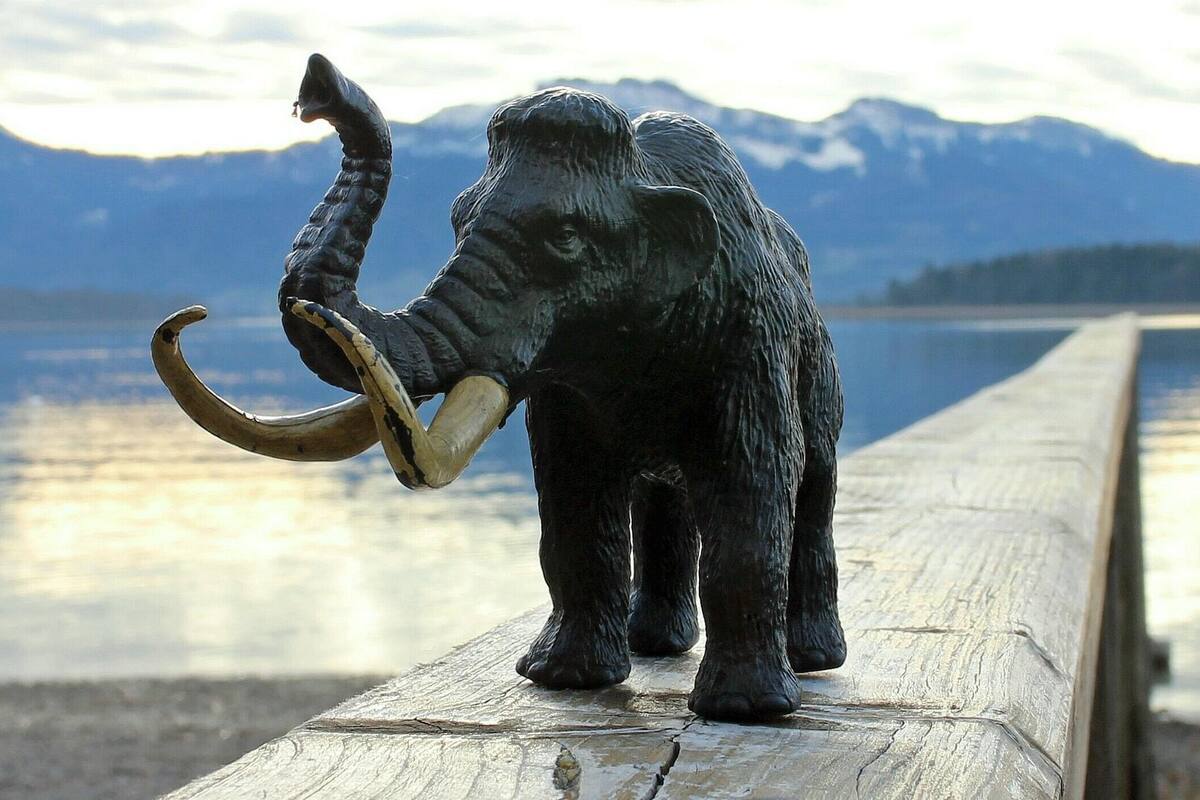 Hallan misteriosa obra con cientos de huesos de mamut
