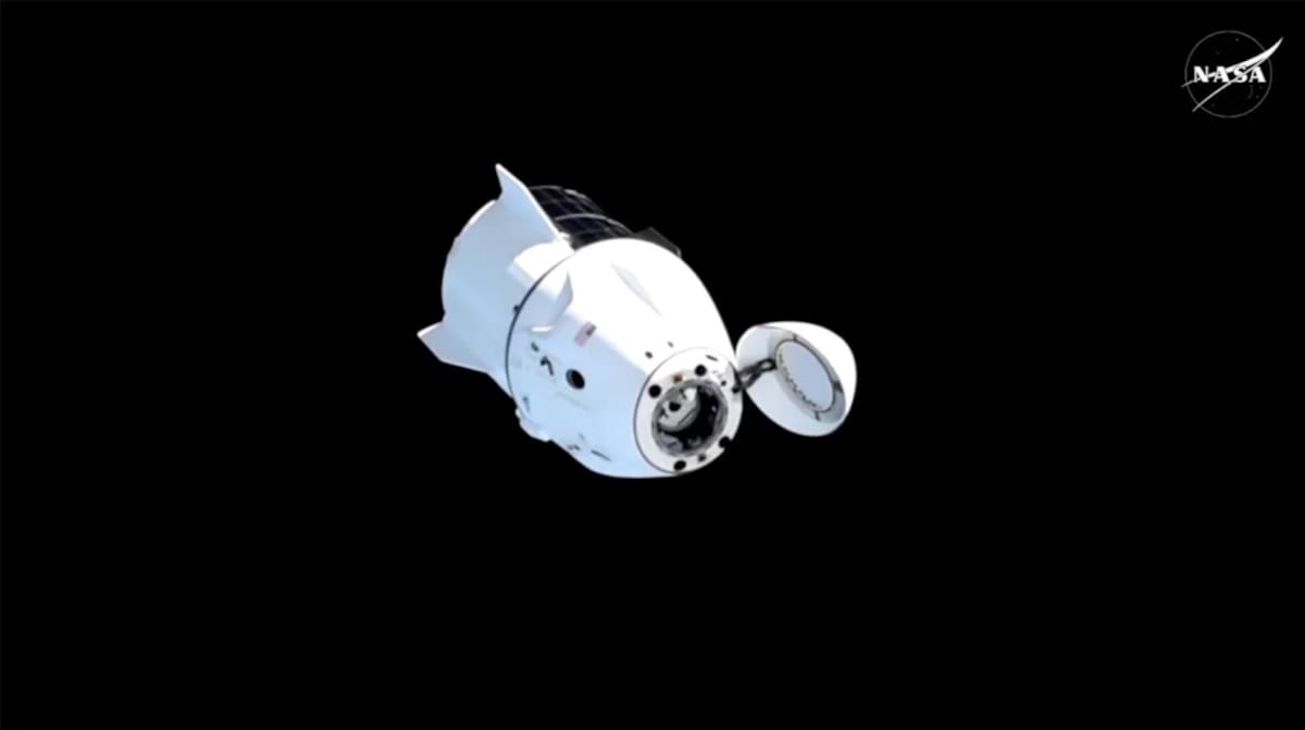 La misión SpaceX Crew-9 de la NASA, que lleva a los astronautas estadounidenses Nick Hague, Butch Wilmore y Suni Williams, junto al cosmonauta de Roscosmos Aleksandr Gorbunov, se separará el martes tras completar su misión de un mes en la Estación Espacial Internacional. Foto: NASA