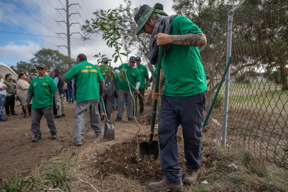 El Ayuntamiento de Rosarito puso en marcha su primer vivero, ubicado en la colonia Ampliación Leyes de Reforma. Fotos: Border Zoom
