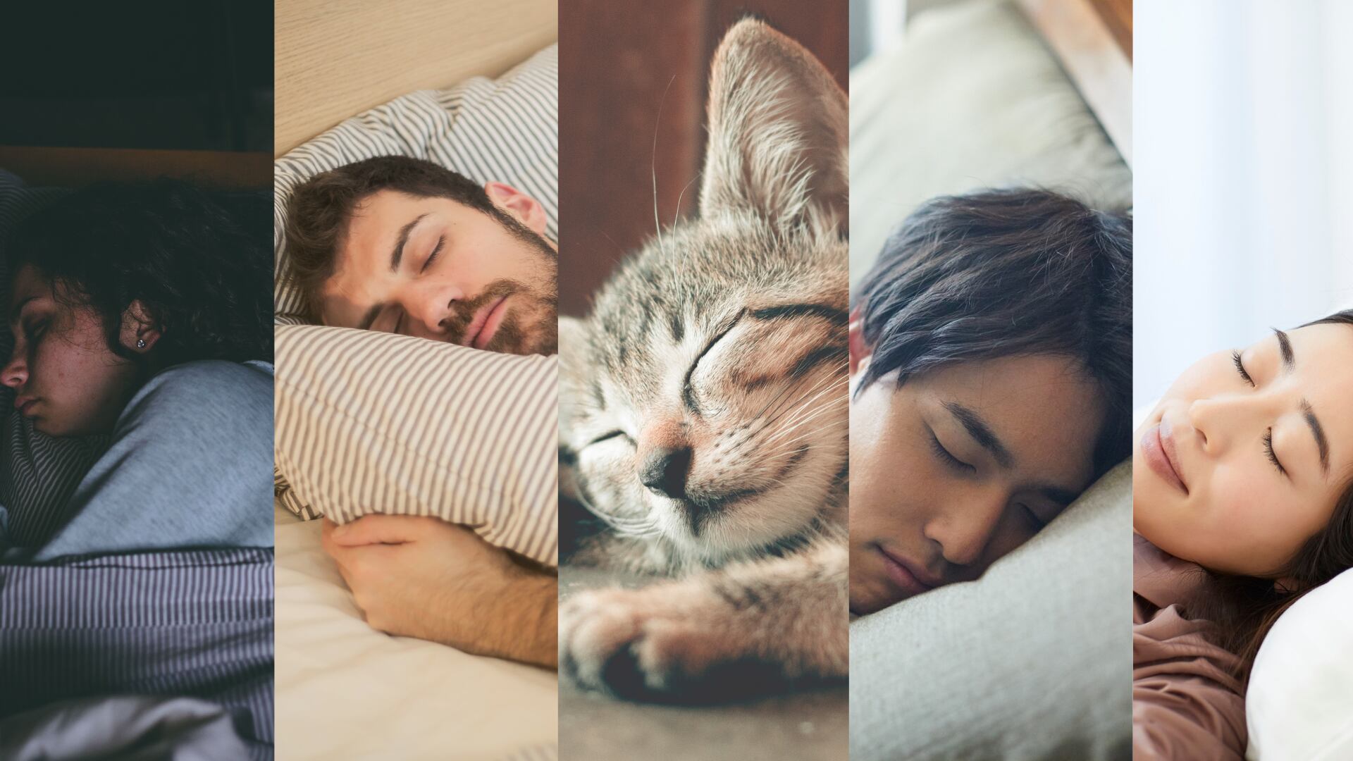 Existen dos tipos: el eustrés, que impulsa la superación y el aprendizaje, y el distrés, que causa desgaste y problemas de salud./Foto: Canva