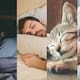 Cinco perfiles de sueño: así influyen en la salud mental y el cerebro, según un estudio