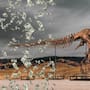 Un comprador anónimo pagó 50.1 millones de dólares por “Gus”, un T. rex de 67 millones de años, y ahora los científicos temen que uno de los fósiles más completos desaparezca de la vista pública