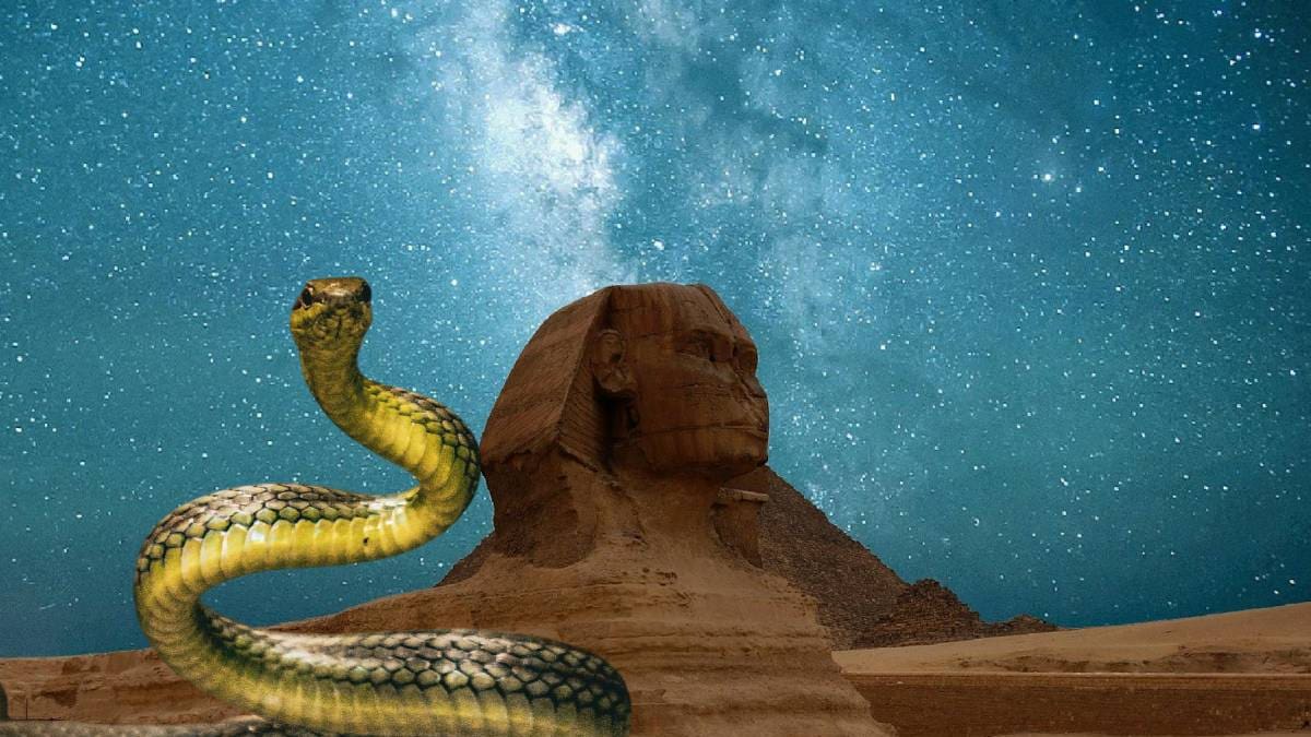 Turista alemán muere en Egipto después de que una cobra se metiera en sus pantalones durante un espectáculo en un hotel de Hurghada y lo mordiera frente a otros asistentes